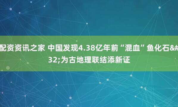 配资资讯之家 中国发现4.38亿年前“混血”鱼化石 为古地理联结添新证